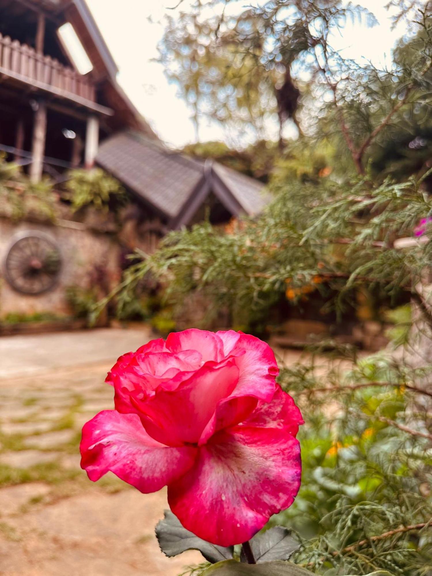 נוארה אליה Villa 47 Nuwaraeliya מראה חיצוני תמונה