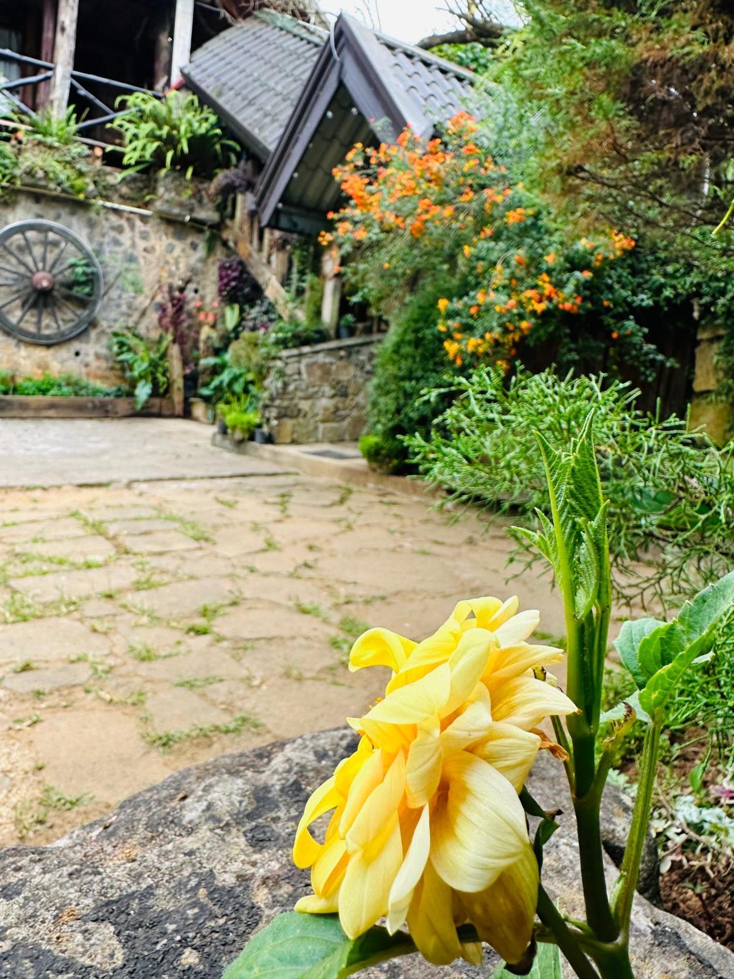 נוארה אליה Villa 47 Nuwaraeliya מראה חיצוני תמונה