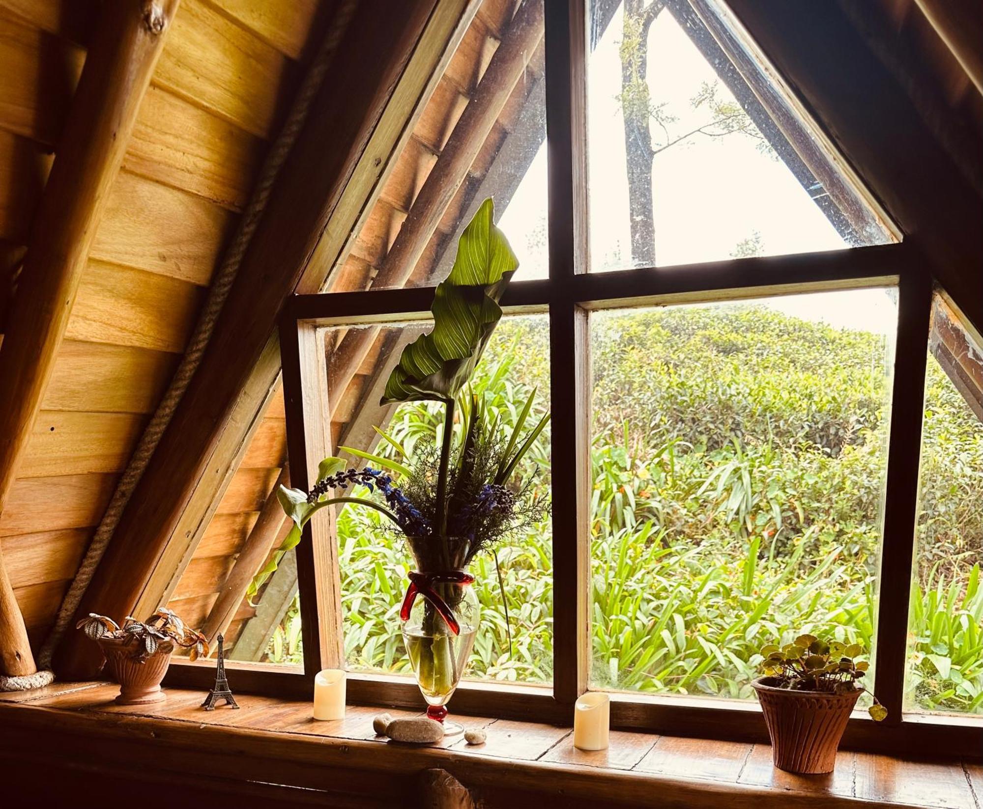 נוארה אליה Villa 47 Nuwaraeliya מראה חיצוני תמונה