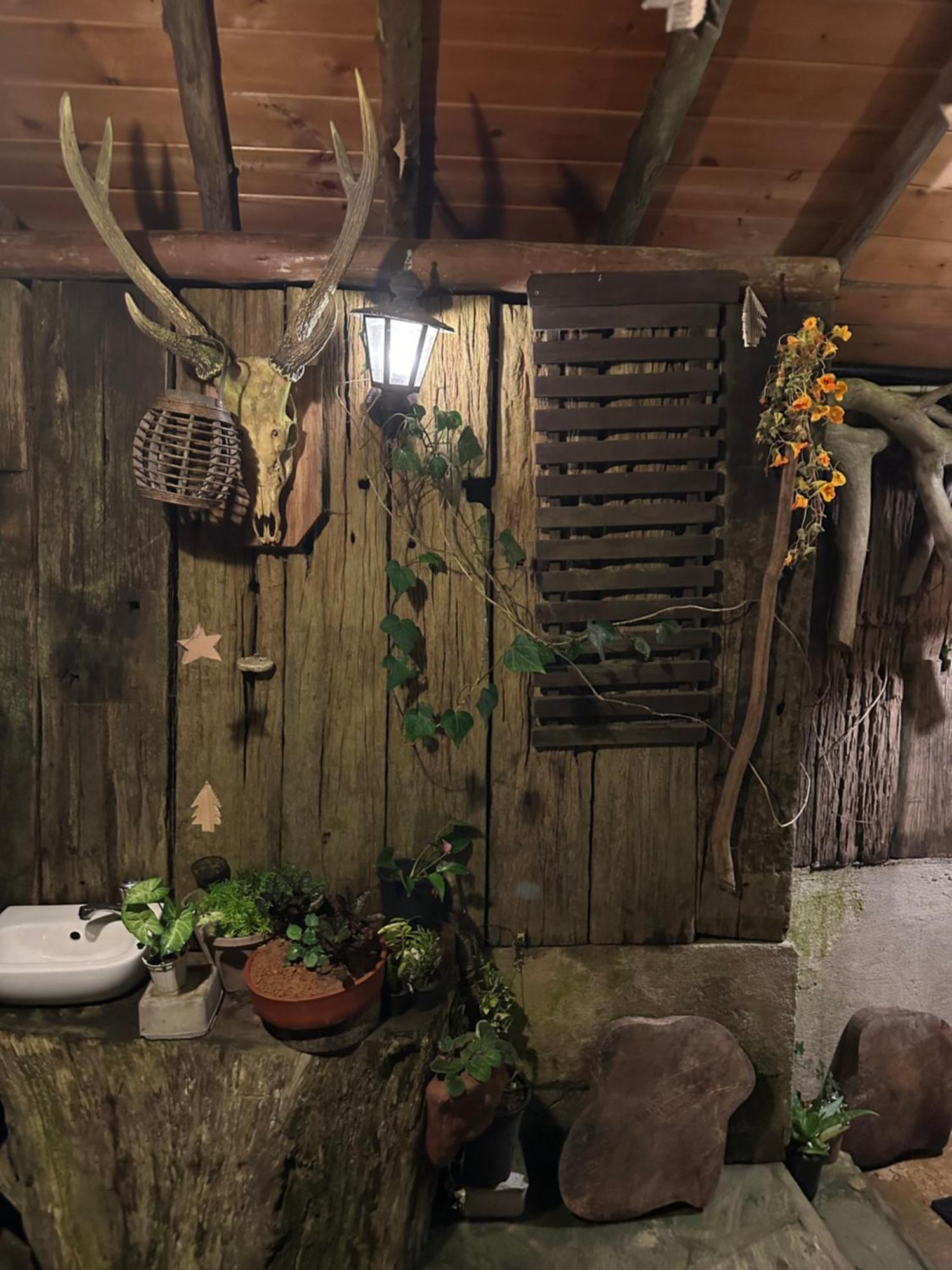 נוארה אליה Villa 47 Nuwaraeliya מראה חיצוני תמונה