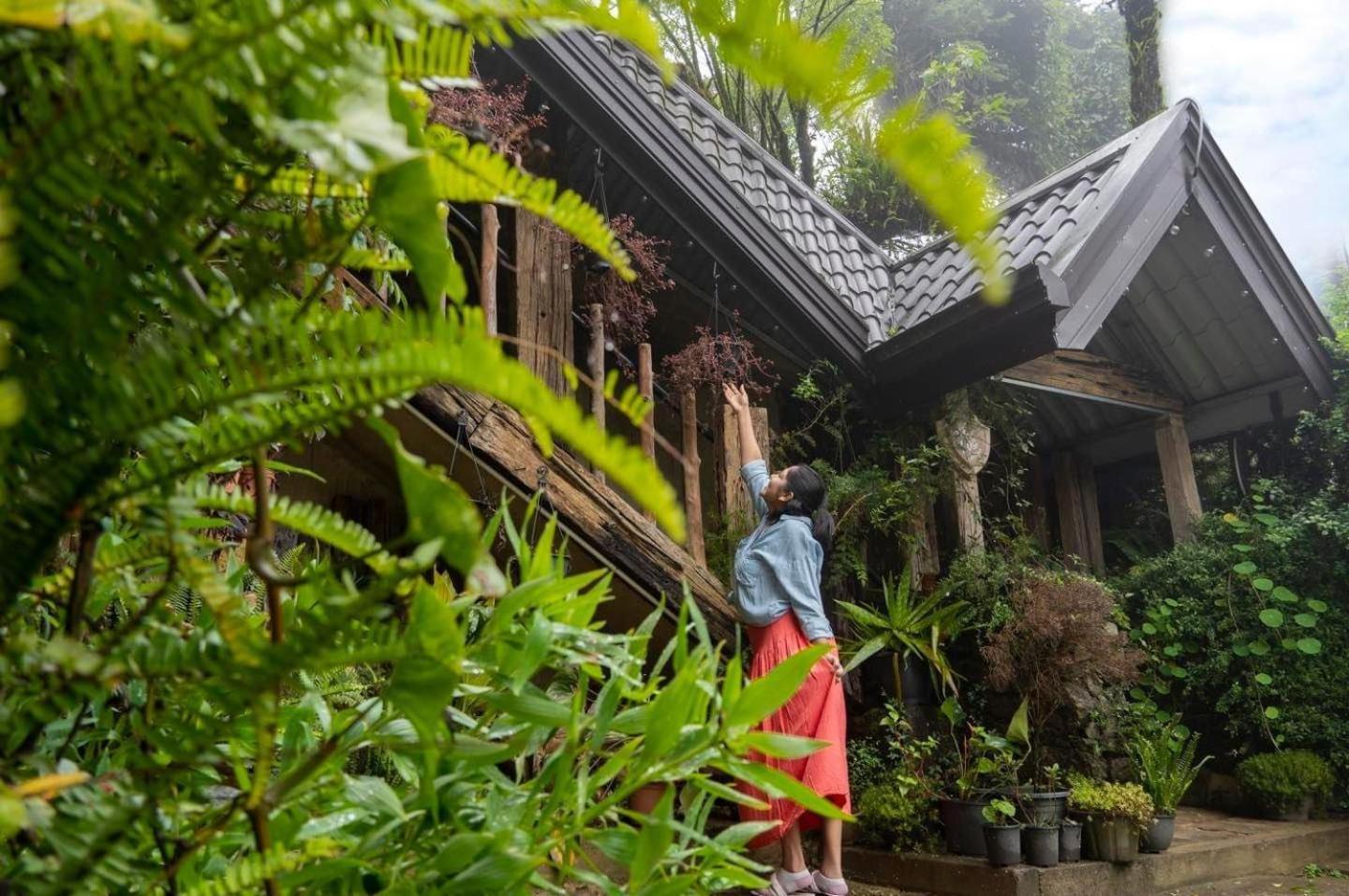 נוארה אליה Villa 47 Nuwaraeliya מראה חיצוני תמונה