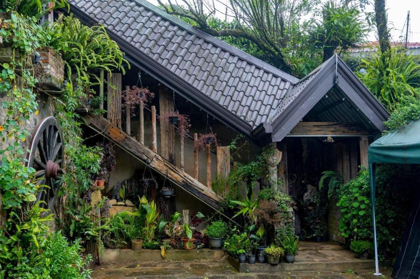 נוארה אליה Villa 47 Nuwaraeliya מראה חיצוני תמונה